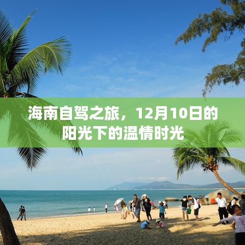 海南自驾之旅，阳光下的温情时光（12月10日）