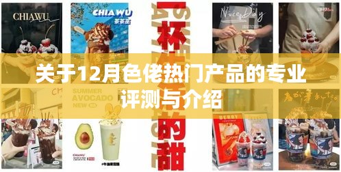 12月热门产品专业评测与介绍