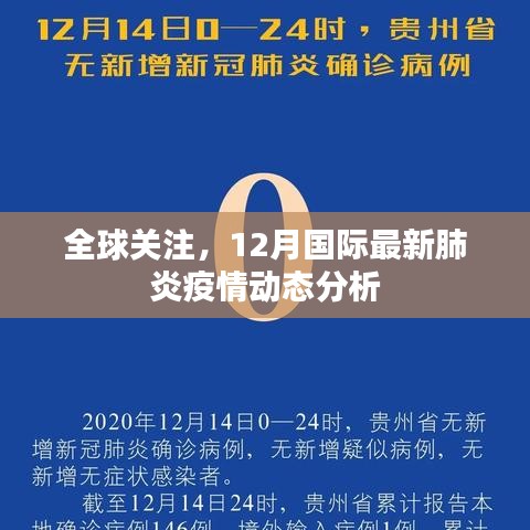 全球瞩目，12月国际肺炎疫情最新动态分析