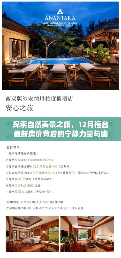 探索自然美景之旅，桓台房价背后的宁静力量与人生百态