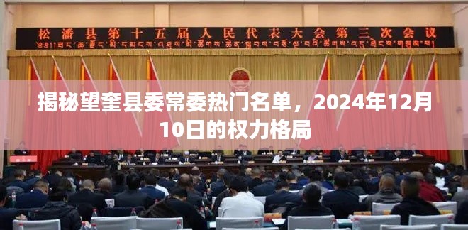 望奎县委常委热门名单揭秘，2024年权力格局展望