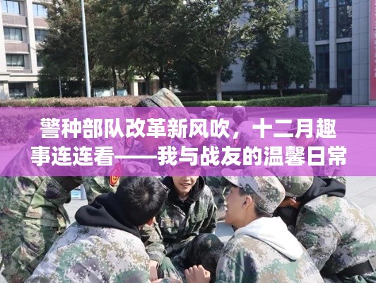 警种部队改革新风下的十二月趣事与战友温馨日常