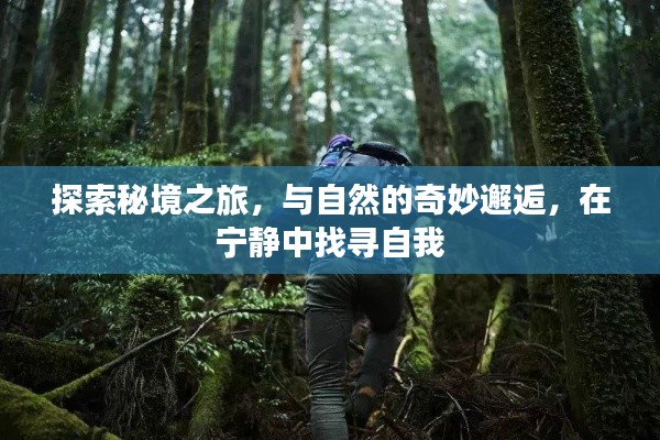 秘境探索，与自然邂逅，宁静中找寻自我之旅