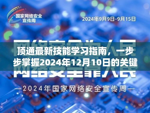 顶通技能学习指南，掌握关键任务，从初学者到进阶用户一步到位（2024年12月10日版）