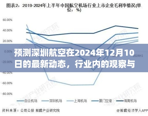 深圳航空未来展望，2024年12月10日的行业观察与预测动态