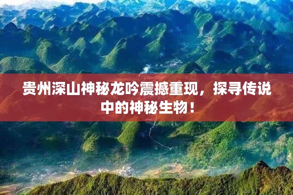 贵州深山神秘龙吟重现，探寻传说中的生物之谜！