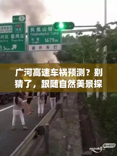 广河高速车祸预测？跟随自然美景探索之旅远离焦虑与寻找内心平静