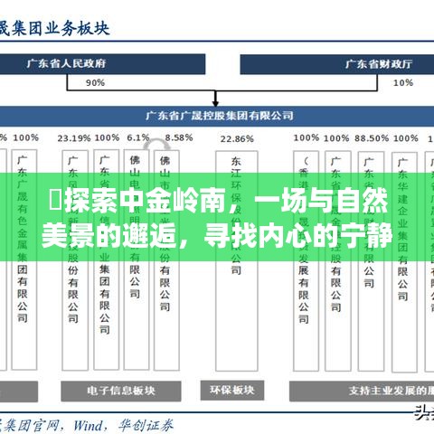 中金岭南探秘，与自然美景的邂逅与内心宁静之旅