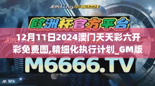 12月11日2024澳门天天彩六开彩免费图,精细化执行计划_GM版7.563