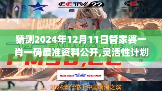 猜测2024年12月11日管家婆一肖一码最准资料公开,灵活性计划实施_Ultra10.746