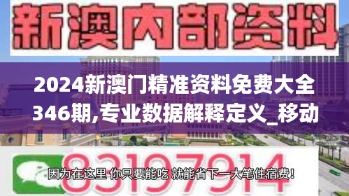 2024新澳门精准资料免费大全346期,专业数据解释定义_移动版4.441