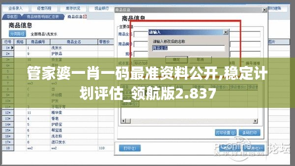 管家婆一肖一码最准资料公开,稳定计划评估_领航版2.837