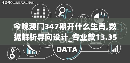 今晚澳门347期开什么生肖,数据解析导向设计_专业款13.353