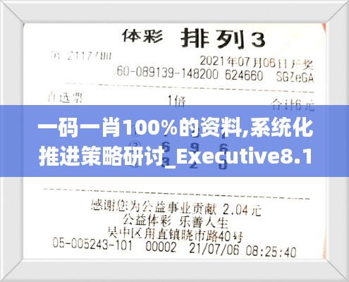 一码一肖100%的资料,系统化推进策略研讨_Executive8.177