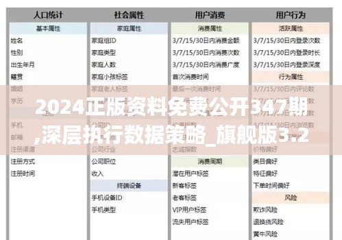 2024正版资料免费公开347期,深层执行数据策略_旗舰版3.232