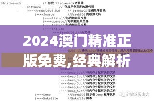 2024澳门精准正版免费,经典解析说明_专属版3.749