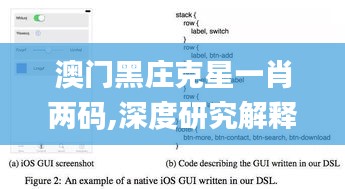 澳门黑庄克星一肖两码,深度研究解释定义_Linux4.229