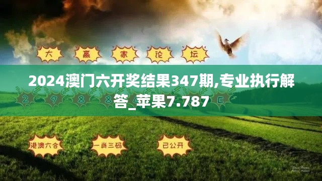 2024澳门六开奖结果347期,专业执行解答_苹果7.787