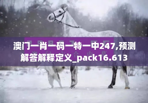 澳门一肖一码一特一中247,预测解答解释定义_pack16.613