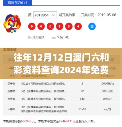 往年12月12日澳门六和彩资料查询2024年免费查询01-32期,科学分析解析说明_DX版13.218