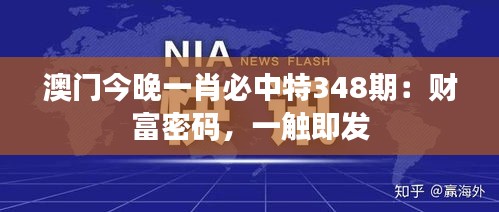 澳门今晚一肖必中特348期：财富密码，一触即发