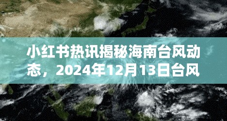 小红书独家揭秘，海南台风实时动态解析（附台风位置全解析）🌀🌊（日期，XXXX年XX月XX日）