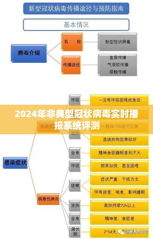 2024年非典型冠状病毒实时播报系统深度评测与观察