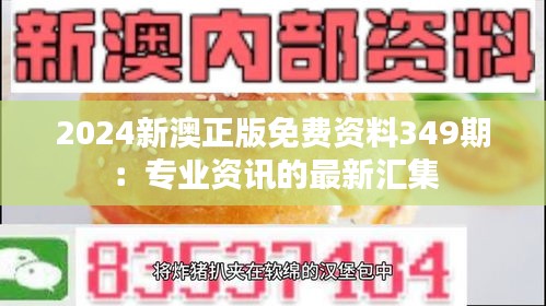 2024新澳正版免费资料349期：专业资讯的最新汇集