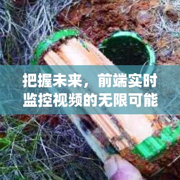 前端实时监控视频的无限潜能，把握未来，学习变化，成就梦想与自信