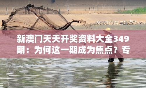 新澳门天天开奖资料大全349期：为何这一期成为焦点？专家点评