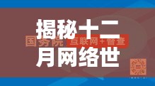 揭秘十二月网络世界实时性能，高效互联引领畅享生活