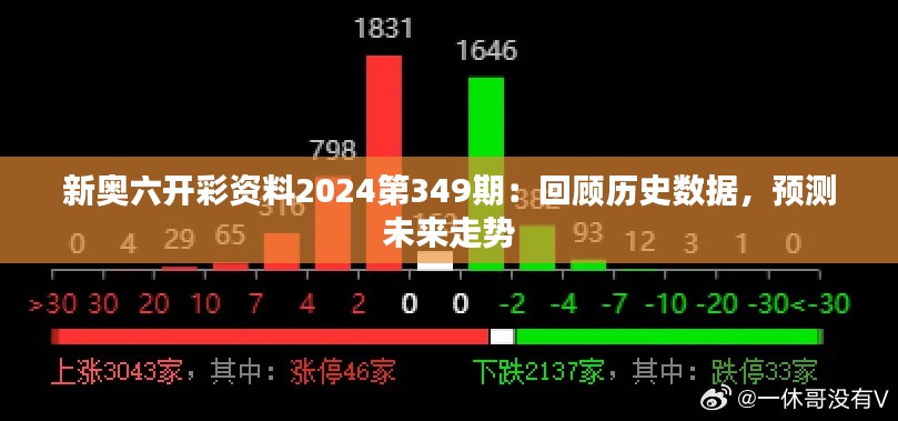 新奥六开彩资料2024第349期：回顾历史数据，预测未来走势