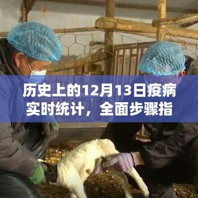 历史上的12月13日疫病实时统计，全面步骤指南与统计报告