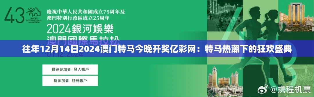 往年12月14日2024澳门特马今晚开奖亿彩网：特马热潮下的狂欢盛典