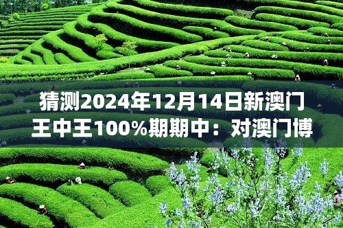 猜测2024年12月14日新澳门王中王100%期期中：对澳门博彩业未来发展的深度分析