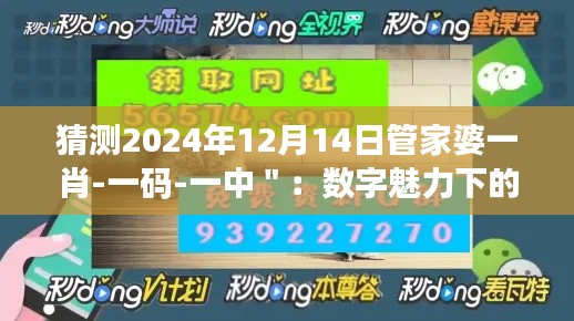 猜测2024年12月14日管家婆一肖-一码-一中＂：数字魅力下的集体行为解析