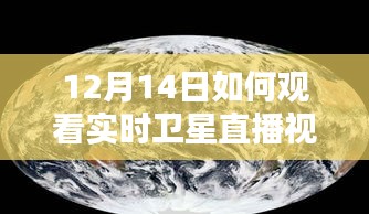 星空盛宴，如何观看12月14日实时卫星直播视频