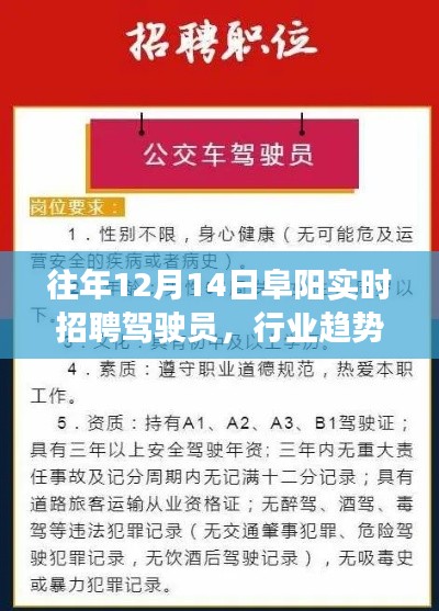 阜阳驾驶员招聘行业趋势与求职要点解析，历年12月14日实时招聘分析