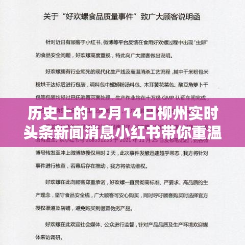 小红书带你重温柳州辉煌瞬间，历史上的十二月十四日实时头条新闻消息回顾