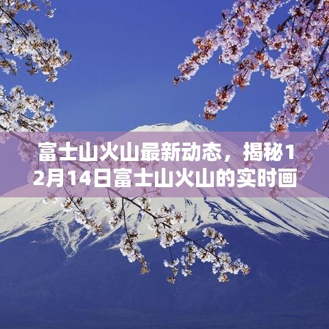 富士山火山最新动态揭秘，12月14日实时画面曝光