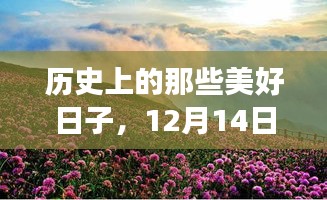 12月14日自然美景之旅，心灵沐浴历史美好日子的旅程