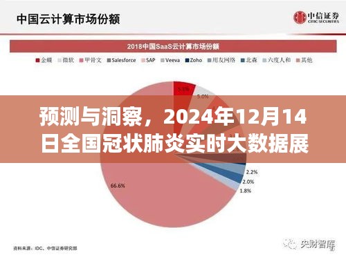 预测与洞察，全国冠状肺炎实时大数据展望至2024年12月