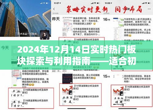 2024年热门板块探索与利用指南，适合初学者与进阶用户实战攻略