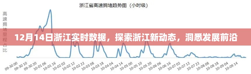 浙江新动态探索，实时数据解读发展前沿