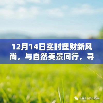 12月14日理财新风尚，与自然共舞，追寻内心宁静的财富之旅