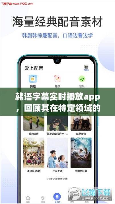 韩语字幕实时播放app，领域发展与影响回顾