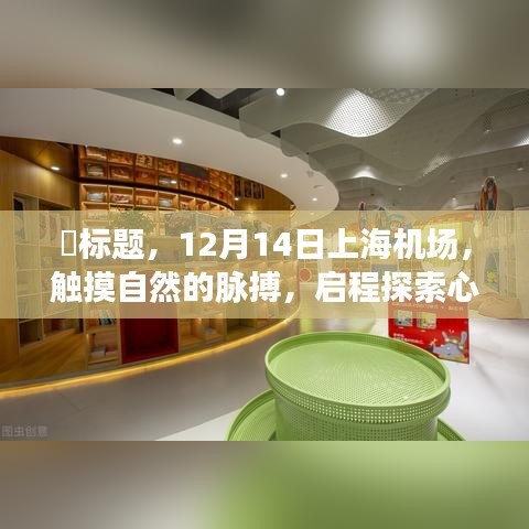 上海机场启程，触摸自然脉搏的心灵宁静之旅（12月14日）