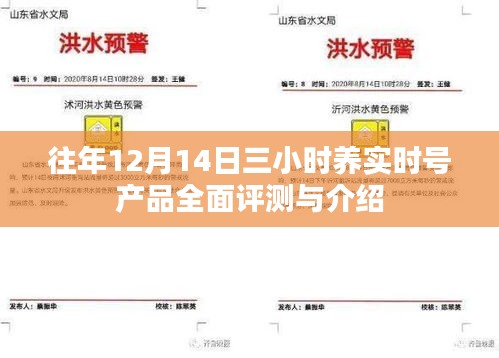 往年12月14日三小时养实时号产品全面评测与介绍，深度解析与介绍