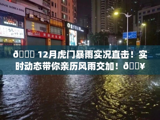 亲历风雨交加！虎门暴雨实况直击与实时动态解析