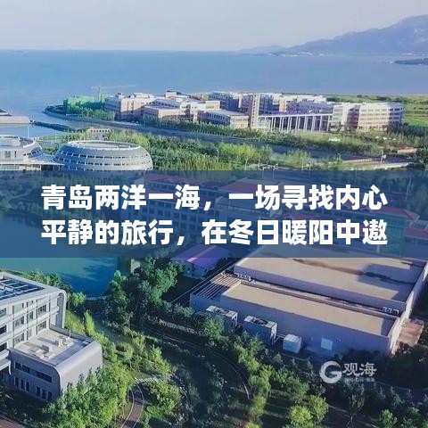 青岛两洋一海之旅，冬日暖阳下的心灵之旅